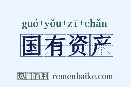 国有资产是什么意思的图片